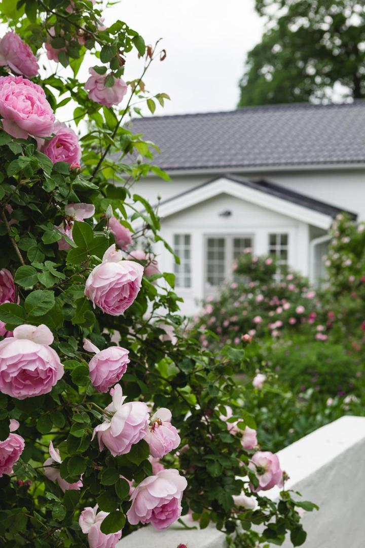 Vallby Cottage Enkoping Bagian luar foto